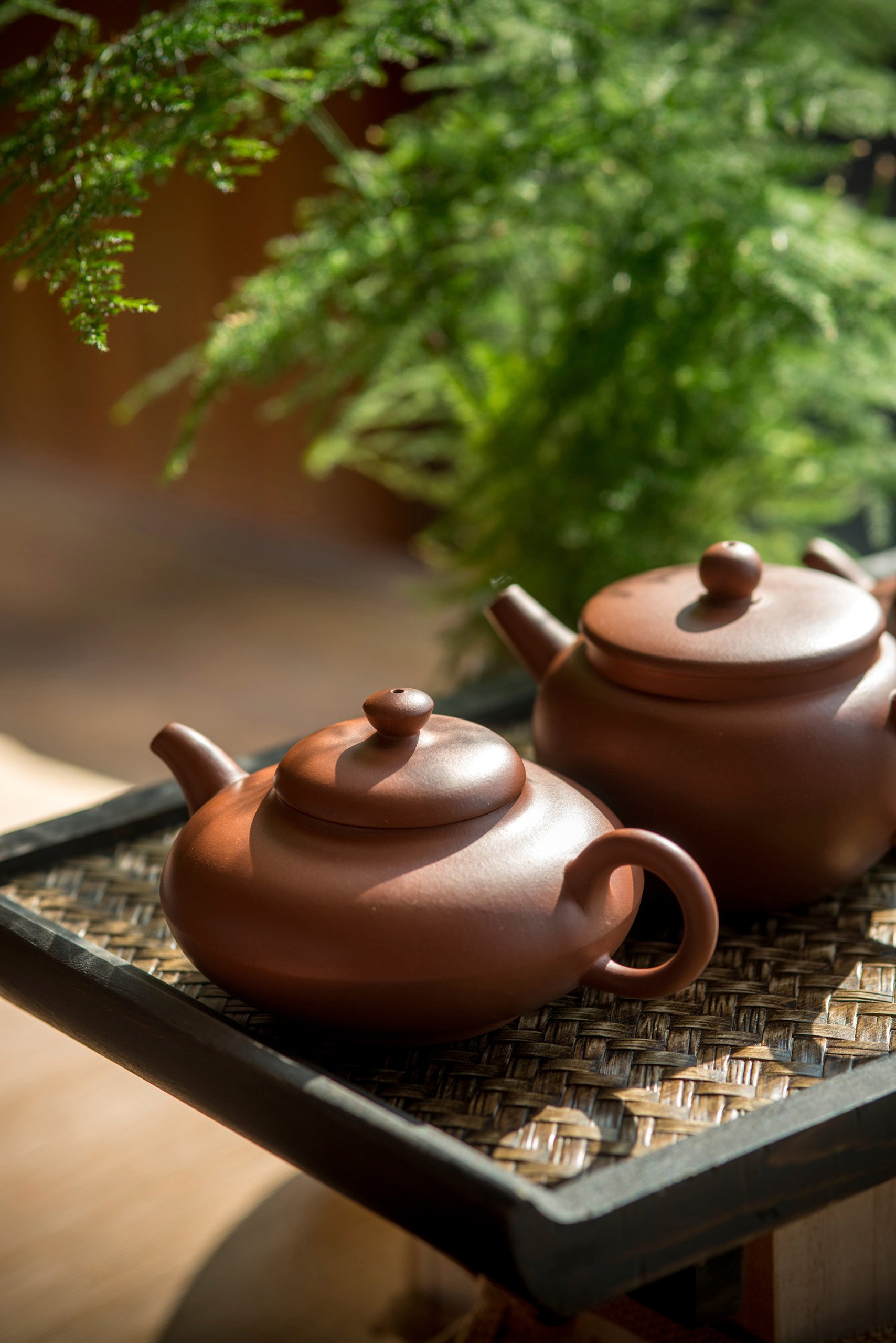 NUOBrand_Tea Culture5_High Res_43637.jpg